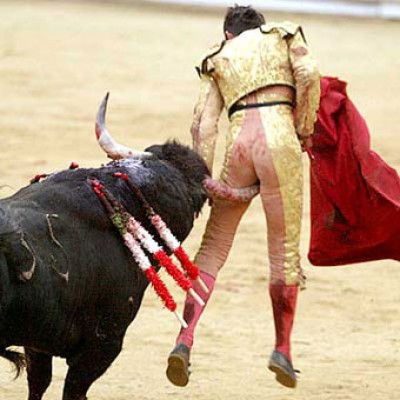 bull_fight1.jpg