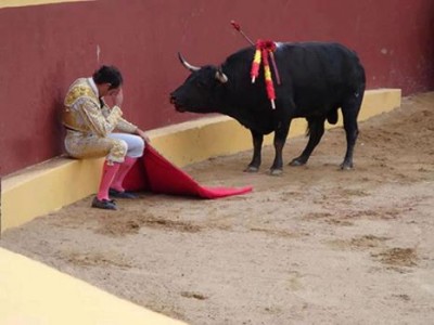 Bull_Fight.jpg