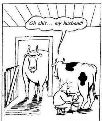 Cartoon Jokes -Cow.jpg