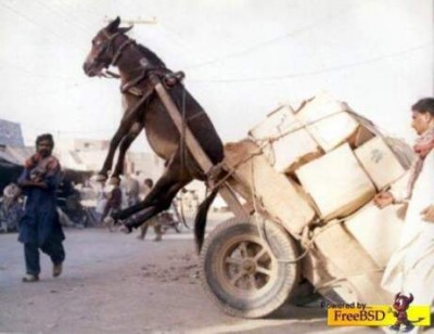 donky_carts_are_loaded_in_pakistan.jpg