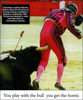 matador.jpg