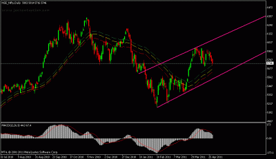 nifty 29 april 2011aaaammmm.gif