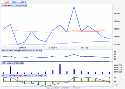 TULIP Weekly_as well as daily_HNS.PNG